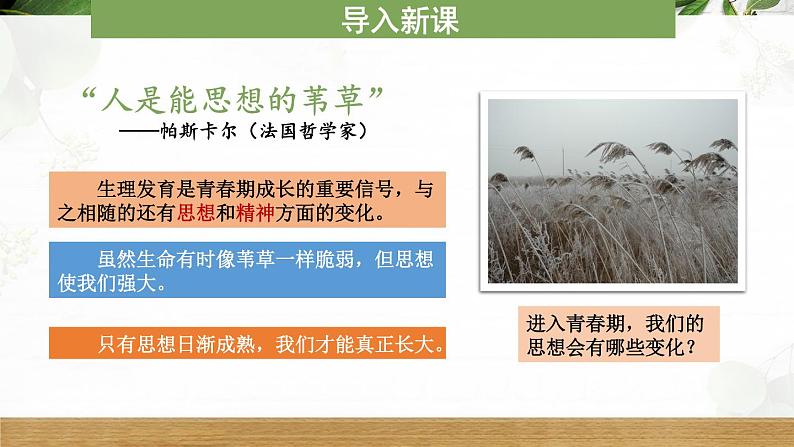 部编版七年级下册道德与法治课件 1.1.2 成长的不仅仅是身体第3页