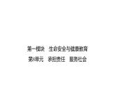 2024年广东中考道德与法治一轮考点梳理课件第八单元 承担责任 服务社会