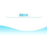 2024年中考道德与法治总复习课件第16讲 我国的政治和经济制度