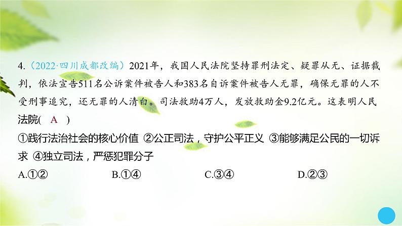 2024年中考道德与法治总复习课件第19讲 维护公平正义第6页