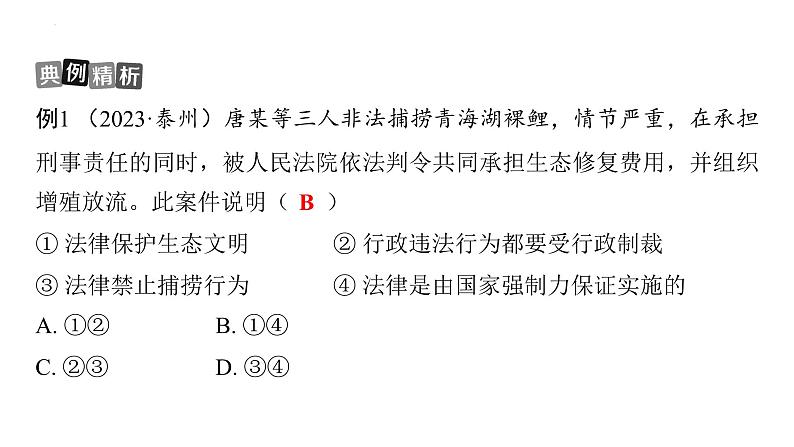 七年级下册 第四单元 走进法治天地 复习课件----2024年中考道德与法治一轮复习08