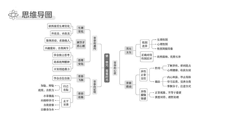 七年级下册 第一单元 青春时光 复习课件-2024年中考道德与法治一轮复习第3页