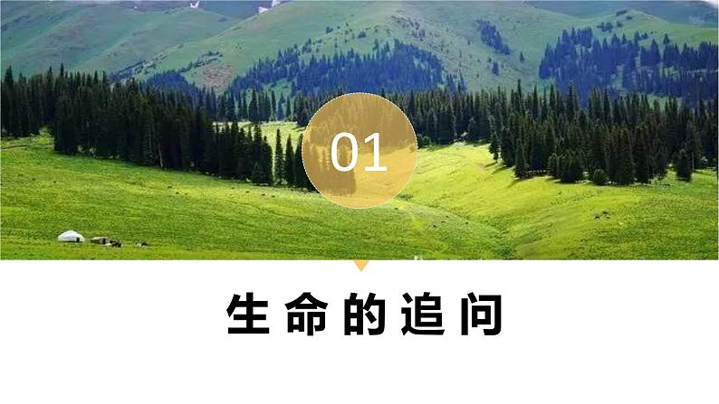 10.1+感受生命的意义++课件-2023-2024学年统编版道德与法治七年级上册第4页