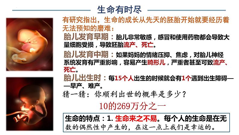 8.1+生命可以永恒吗+课件-2023-2024学年统编版道德与法治七年级上册 (3)04