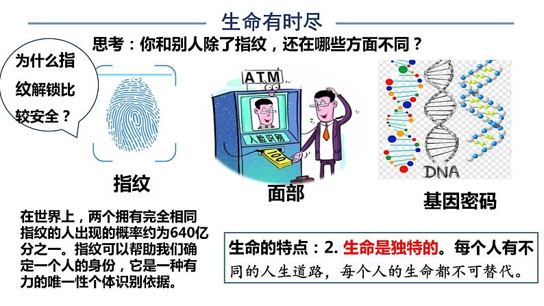 8.1+生命可以永恒吗+课件-2023-2024学年统编版道德与法治七年级上册 (3)05