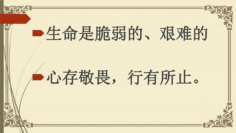 8.2+敬畏生命+课件-2023-2024学年统编版道德与法治七年级上册07