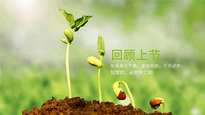 8.2+敬畏生命+课件-2023-2024学年统编版道德与法治七年级上册 (4)第3页