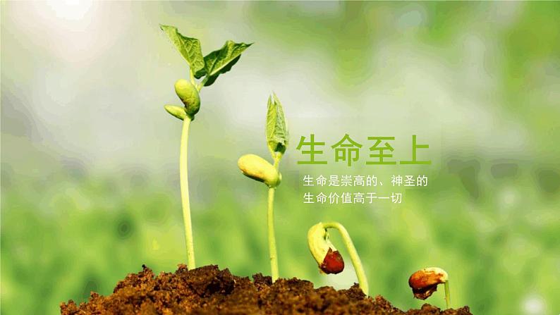 8.2+敬畏生命+课件-2023-2024学年统编版道德与法治七年级上册 (4)第6页