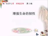 9.2+增强生命的韧性+课件-2023-2024学年统编版道德与法治七年级上册