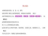 第二单元　做情绪情感的主人+复习课件-+2023-2024学年统编版道德与法治七年级下册