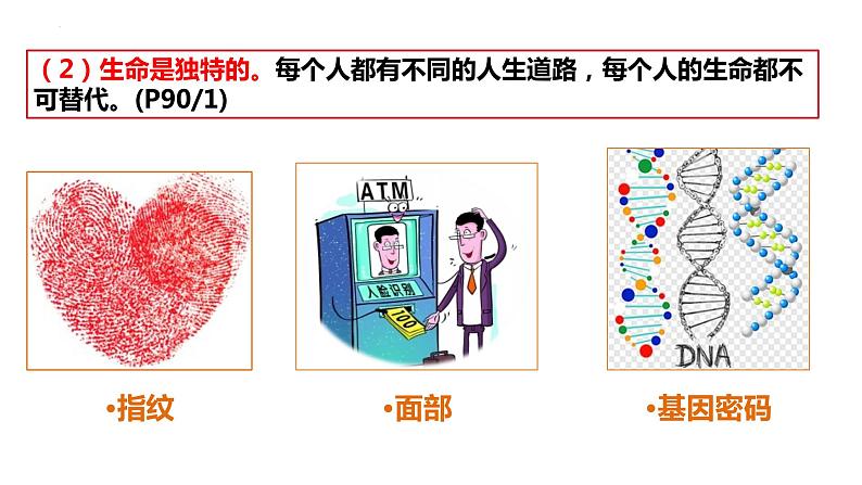 8.1+生命可以永恒吗+课件-2023-2024学年统编版道德与法治七年级上册第4页