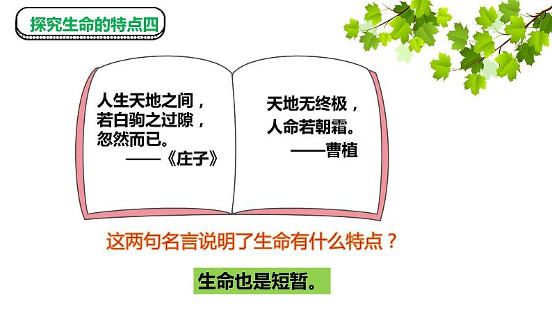 8.1+生命可以永恒吗+课件-2023-2024学年统编版道德与法治七年级上册第6页