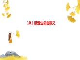 10.1+感受生命的意义+课件-2023-2024学年统编版道德与法治七年级上册