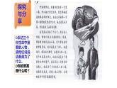 10.1+感受生命的意义+课件-2023-2024学年统编版道德与法治七年级上册