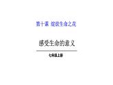 10.1+感受生命的意义+课件-2023-2024学年统编版道德与法治七年级上册 (1)