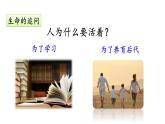 10.1+感受生命的意义+课件-2023-2024学年统编版道德与法治七年级上册 (1)