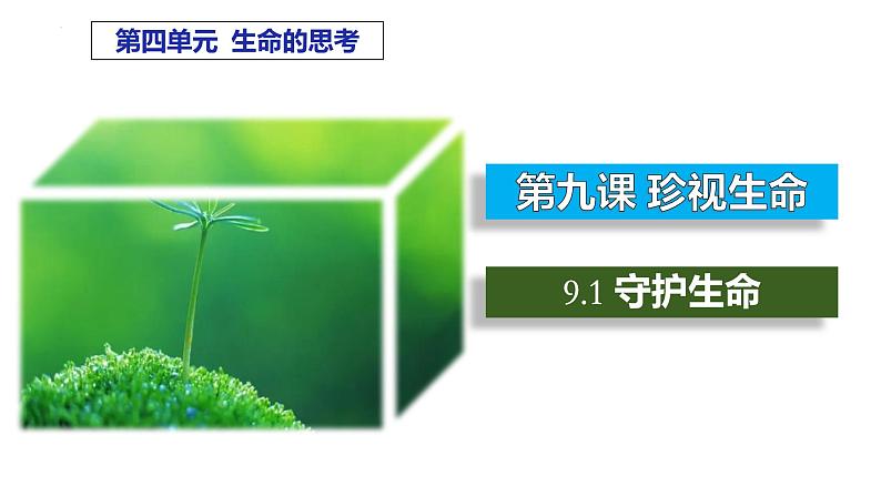 9.1+守护生命+课件-2023-2024学年统编版道德与法治七年级上册 (1)01