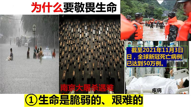 8.2+敬畏生命+课件-2023-2024学年统编版道德与法治七年级上册第5页