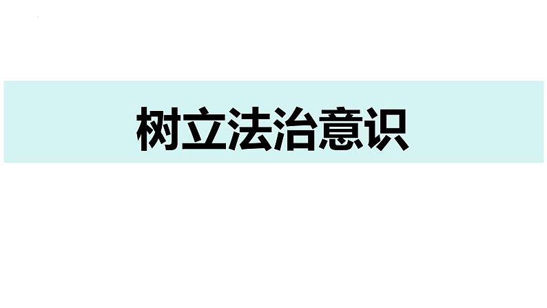 10.2+我们与法律同行+课件-2023-2024学年统编版道德与法治七年级下册第4页