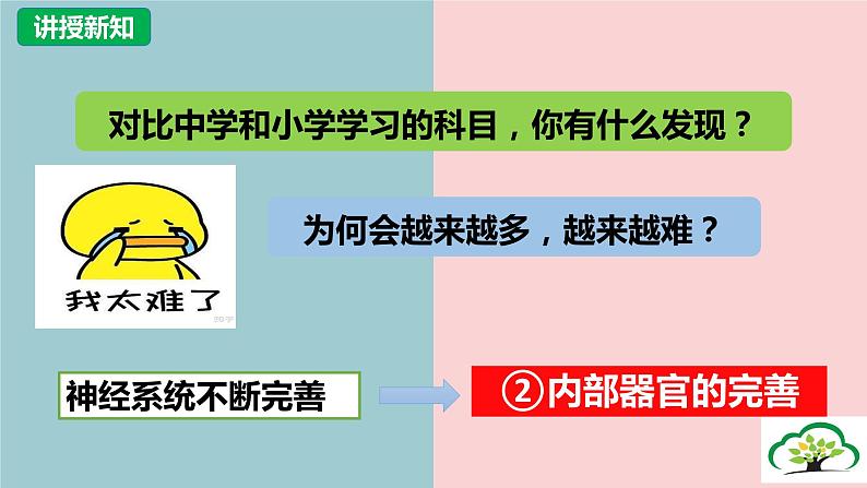 1.1 悄悄变化的我 课件-2023-2024学年统编版道德与法治七年级下册(2)第8页