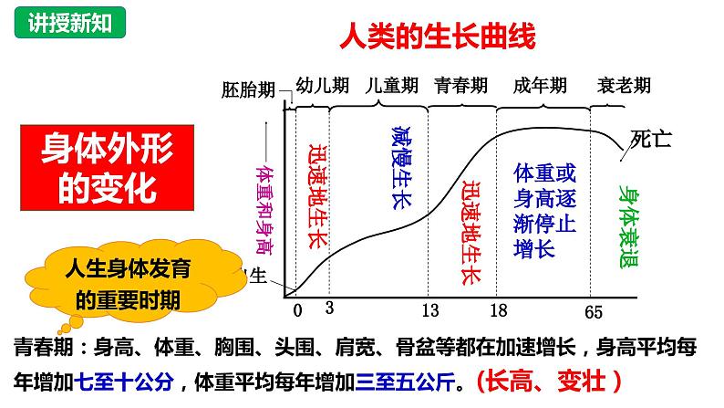 1.1悄悄变化的我  课 件-2023-2024学年统编版道德与法治七年级下册课件PPT第8页