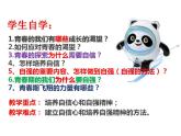 3.1 青春飞扬 课件- 2023-2024学年统编版道德与法治七年级下册