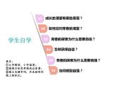 3.1 青春飞扬 课件-2023-2024学年统编版道德与法治七年级下册