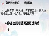 3.1青春飞扬 课件-2023-2024学年统编版道德与法治七年级下册