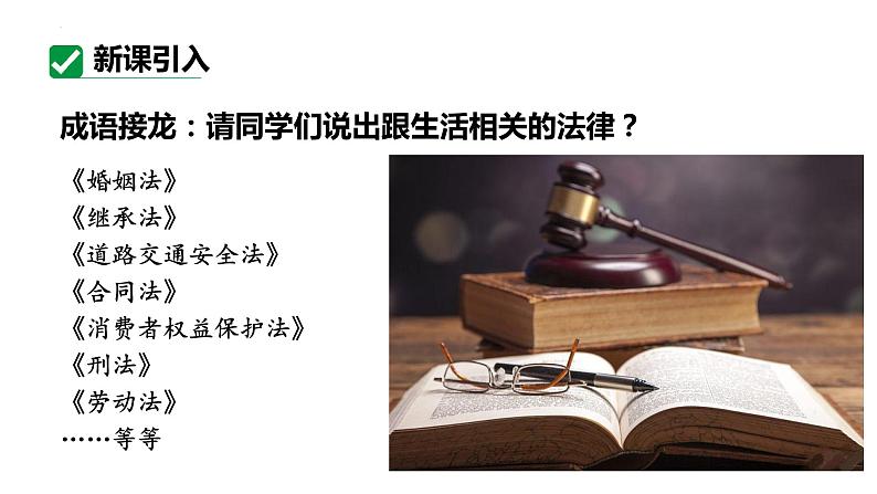 9.2 法律保障生活 课件- 2023-2024学年统编版道德与法治七年级下册04