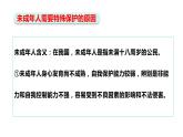 10.1 法律为我们护航 课件-2022-2023学年统编版道德与法治七年级下册