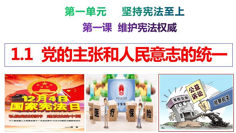 1.1 党的主张和人民意志的统一 课件-2023-2024学年统编版道德与法治八年级下册第2页