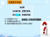 7.1 自由平等的真谛 课件-2023-2024学年统编版道德与法治八年级下册 (1)