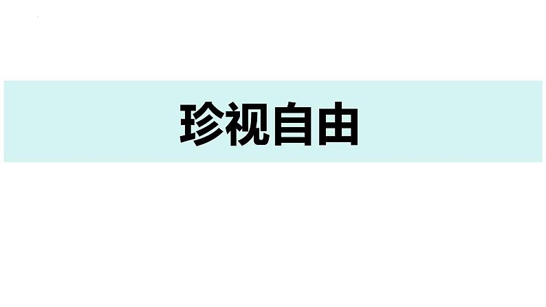 7.2 自由平等的追求 课件-2023-2024学年统编版道德与法治八年级下册 (3)第5页