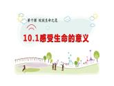 10.1+感受生命的意义+课件-2023-2024学年统编版道德与法治七年级上册 (8)