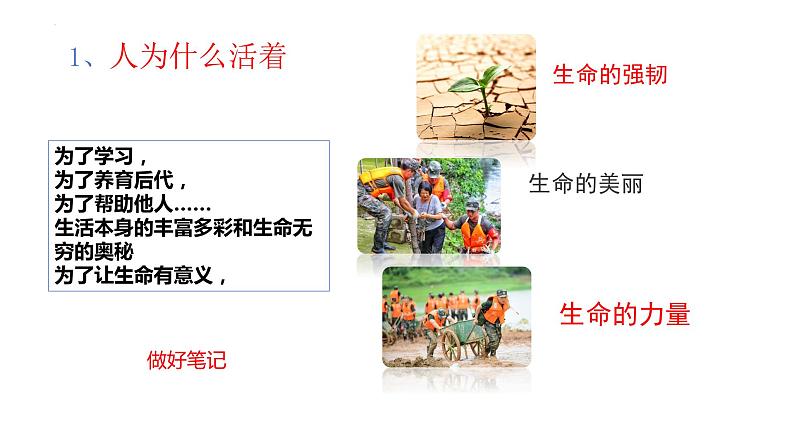 10.1+感受生命的意义+课件-2023-2024学年统编版道德与法治七年级上册 (8)第5页