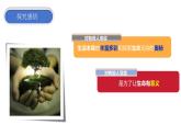 10.1+感受生命的意义+课件-2023-2024学年统编版道德与法治七年级上册 (6)