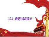 10.1+感受生命的意义+课件-2023-2024学年统编版道德与法治七年级上册