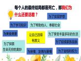 10.1+感受生命的意义+课件-2023-2024学年统编版道德与法治七年级上册