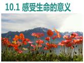 10.1+感受生命的意义+课件-2023-2024学年统编版道德与法治七年级上册 (7)