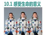 10.1+感受生命的意义+课件-2023-2024学年统编版道德与法治七年级上册 (3)
