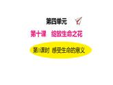 10.1+感受生命的意义+课件-2023-2024学年统编版道德与法治七年级上册 (4)