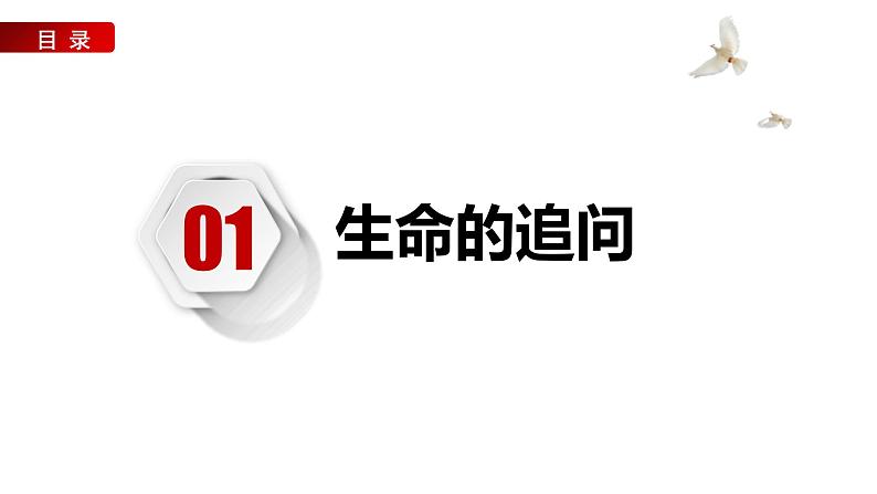 10.1+感受生命的意义+课件-2023-2024学年统编版道德与法治七年级上册 (4)第3页