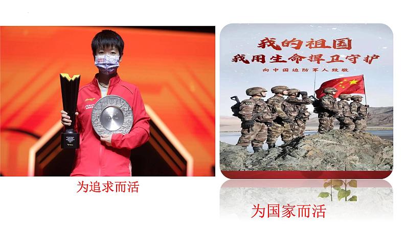 10.1+感受生命的意义+课件-2023-2024学年统编版道德与法治七年级上册 (2)第6页