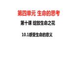 10.1+感受生命的意义+课件-2023-2024学年统编版道德与法治七年级上册 (1)