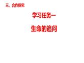 10.1+感受生命的意义+课件-2023-2024学年统编版道德与法治七年级上册 (1)