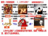 10.1+感受生命的意义+课件-2023-2024学年统编版道德与法治七年级上册 (1)