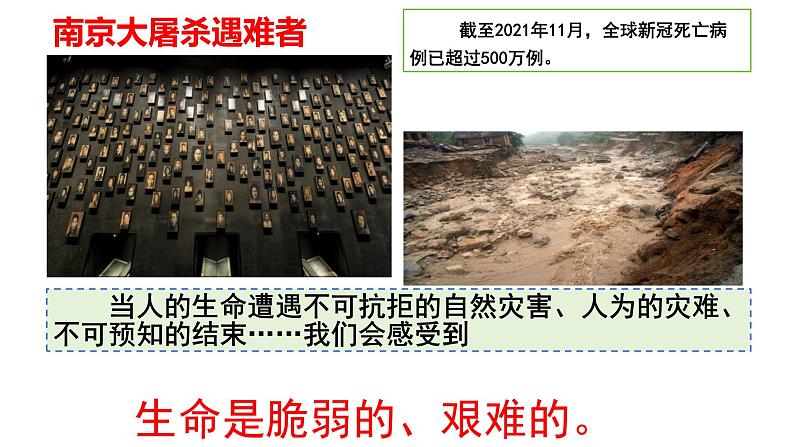 8.2+敬畏生命+课件-2023-2024学年统编版道德与法治七年级上册 (9)第4页