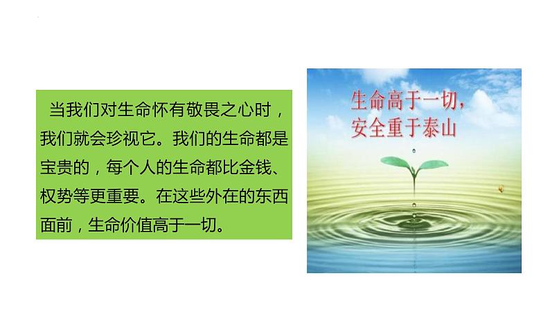 8.2+敬畏生命+课件-2023-2024学年统编版道德与法治七年级上册 (9)第8页