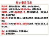 8.2+敬畏生命+课件-2023-2024学年统编版道德与法治七年级上册 (1)