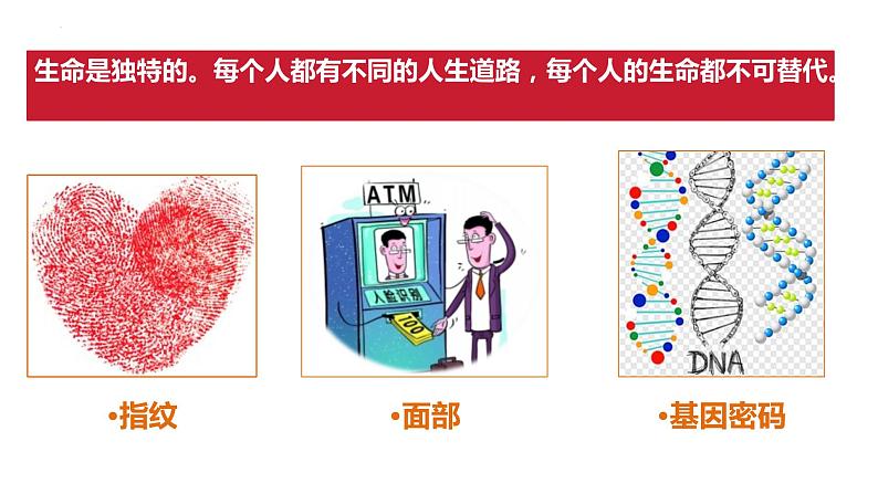 8.1+生命可以永恒吗+课件-2023-2024学年统编版道德与法治七年级上册 (4)第5页